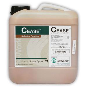 Picture of Cease Microbial Fungicide and Bactericide OMRI Listed